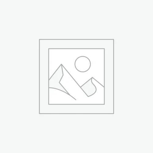 Conscious Alignment Coaching